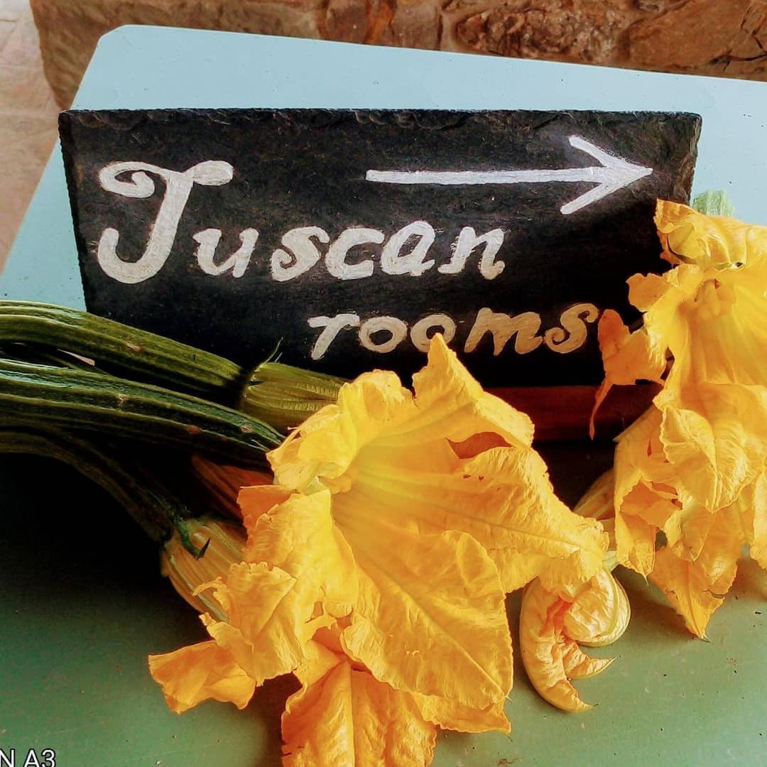 Tuscan Rooms Greve in Chianti Exterior photo